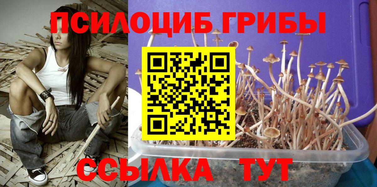 Галлюциногенные грибы GOLDEN TEACHER Конаково