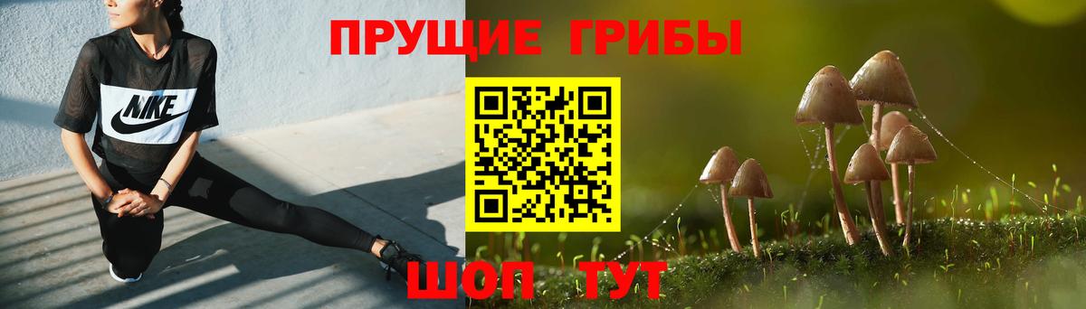 Псилоцибиновые грибы прущие грибы  Вход с VPN  Галлюциногенные грибы Cubensis  Конаково 